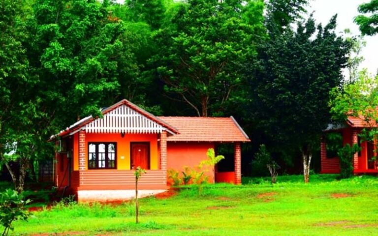 10 Must-Have Amenities to Look for in Kabini Resorts for an Unforgettable Stay