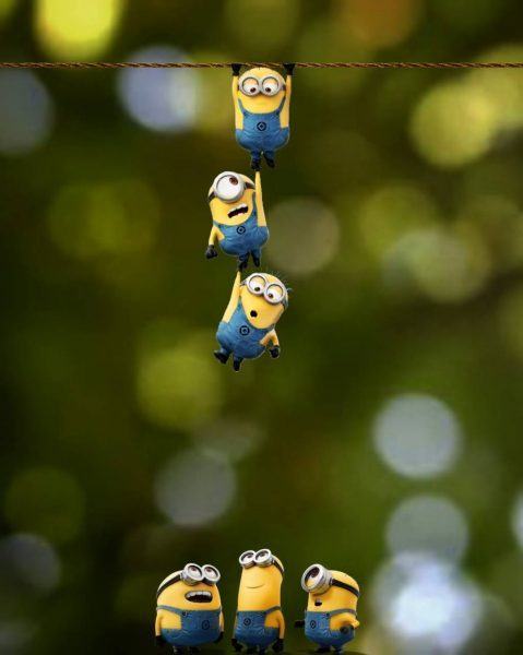 hình nền zalo minion