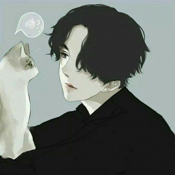 avatar nam là một con mèo cưng