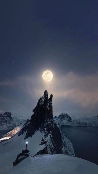 núi sói dưới trăng