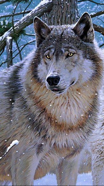 Khung cảnh nửa đêm của một con sói mắt tím trong ảnh đen trắng 2K tải xuống hình  nền