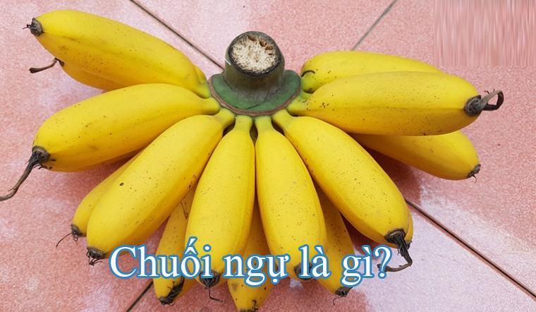 quy tắc chuối 2