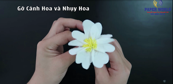 Loại bỏ các cánh hoa và nhụy hoa