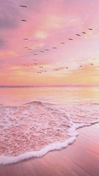 Hình ảnh đẹp về sóng biển màu hồng
