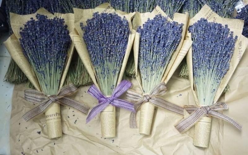 Cách làm hoa oải hương bằng giấy báo