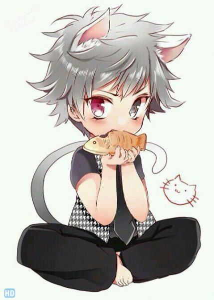 Ảnh anime chibi boy mèo dễ thương