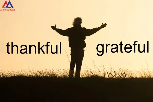 Grateful là gì? Thankful là gì? Phân biệt thankful và grateful