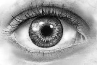 Cách vẽ mắt người đơn giản cho người mới bắt đầu giúp mắt “có hồn”
