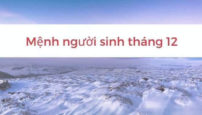 Tương lai của người sinh tháng 12