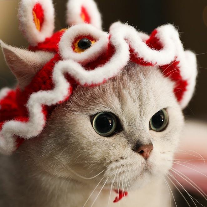 Nón lông cho chó mèo, đan móc, lân, hổ, Tiền lì xì, mũ thú cưng Mèo xiêm - Pet Hat |  PetVn.shop