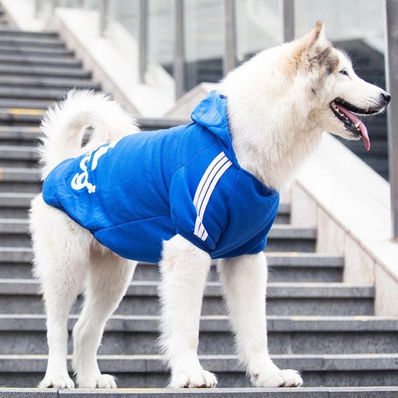 Áo khoác mùa đông cho chó giá tốt nhất Tháng 9 2022 |  Mua ngay |  Shopee Việt Nam