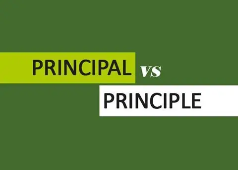 Phân biệt principal và principle – Cách sử dụng trong tiếng Anh đúng nhất