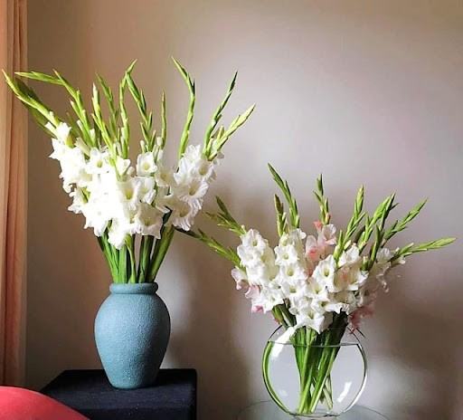 Cách cắm hoa dơn đẹp đơn giản tại nhà đủ sắc màu rực rỡ TẾT