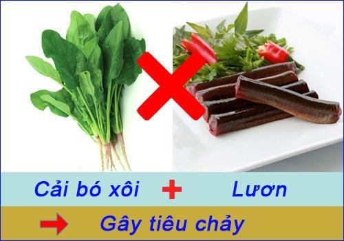 mồng tơi là gì 6