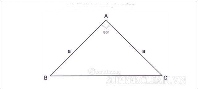 Góc vuông của tam giác