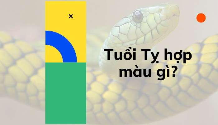 Tuổi Tỵ hợp với nghề gì?