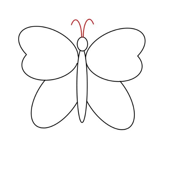 vẽ con bướm 8