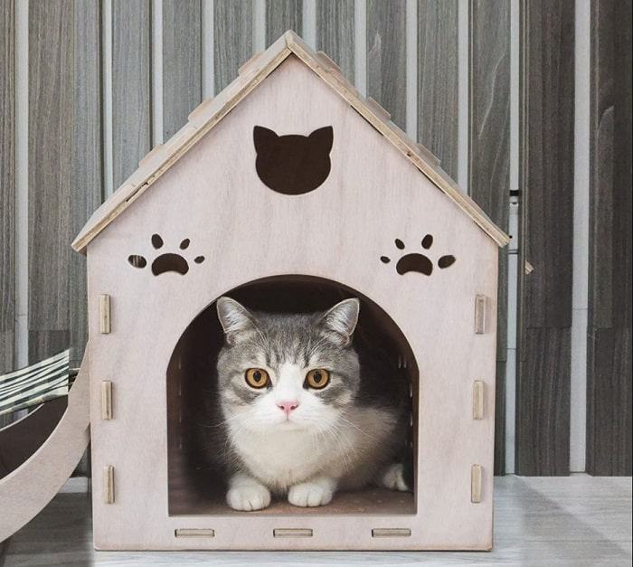5 cách thực hiện chuồng mèo tự làm tại nhà đơn giản
