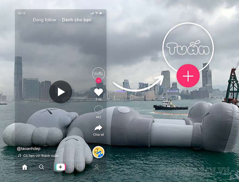 Tại sao avatar Tiktok phải trong suốt?