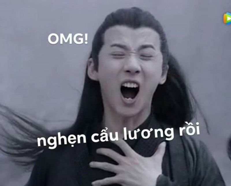 meme hài hước