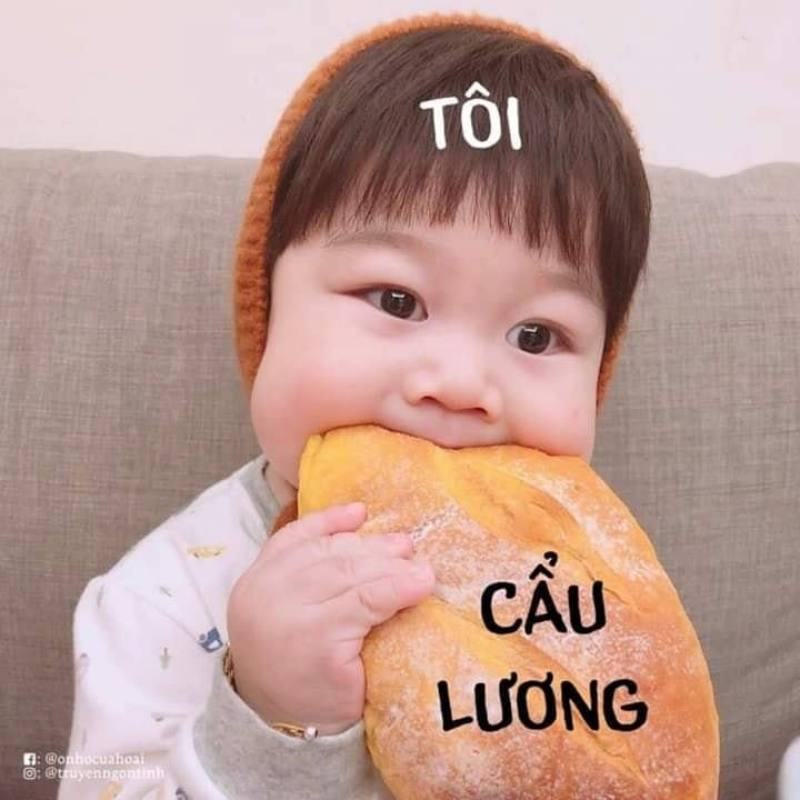 Cẩu lương là gì?