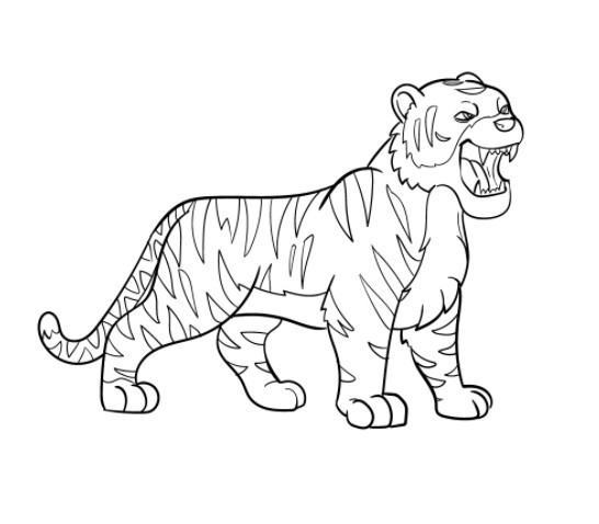 Hổ Vẽ Phác Thảo Nghệ Thuật  con hổ png tải về  Miễn phí trong suốt Nghệ  Thuật png Tải về