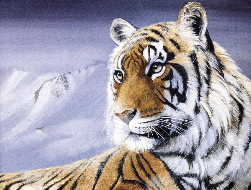 vẽ 16. con hổ