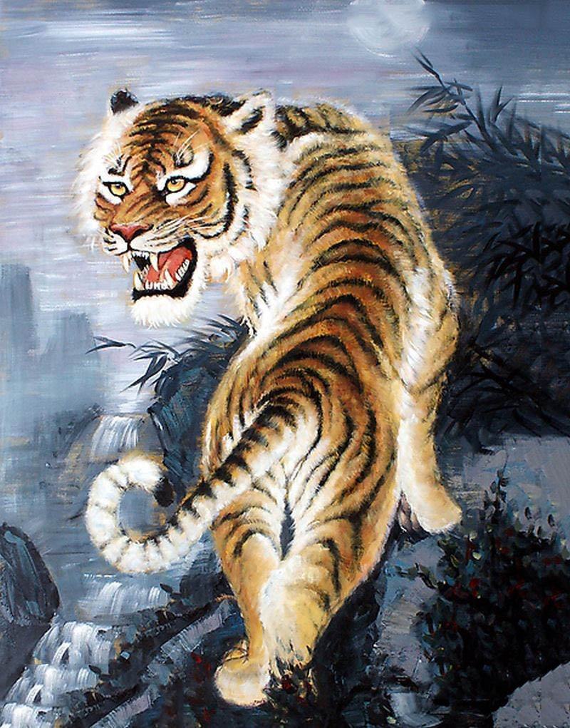 vẽ 20 con hổ