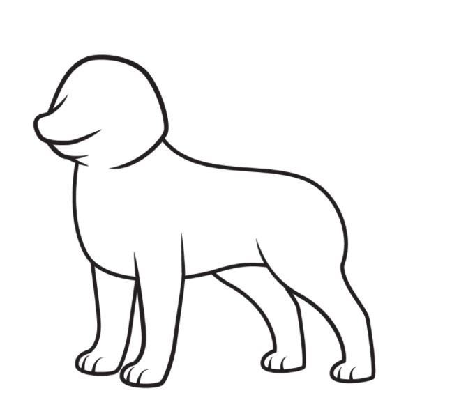 vẽ 20 con chó đơn giản
