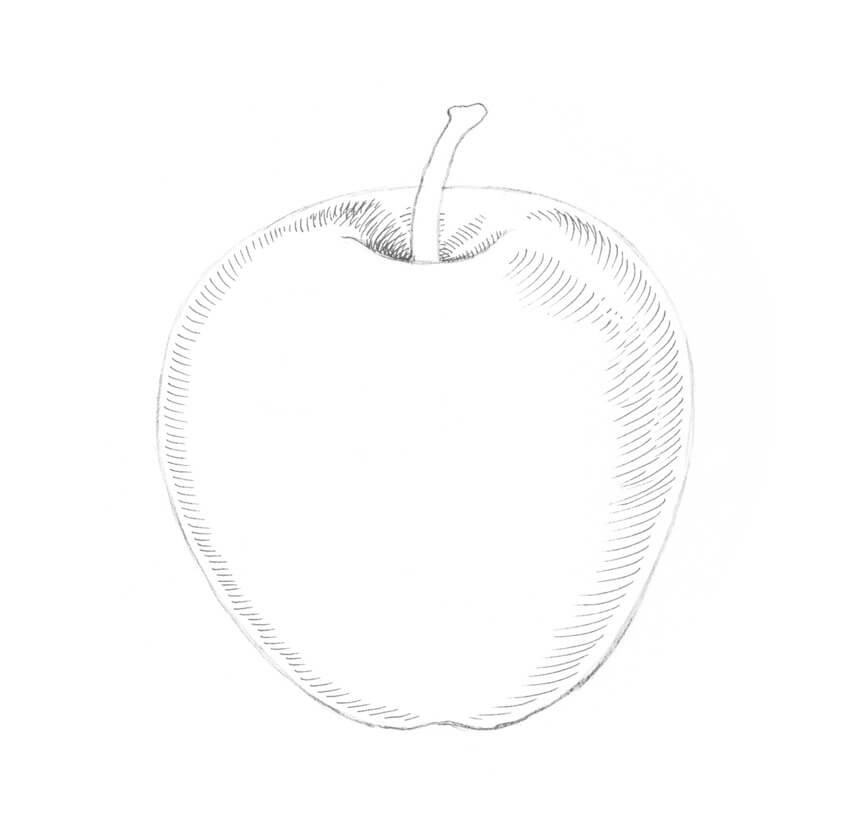 cách vẽ 18. quả táo