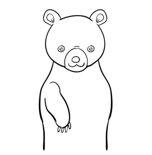 vẽ con gấu 6
