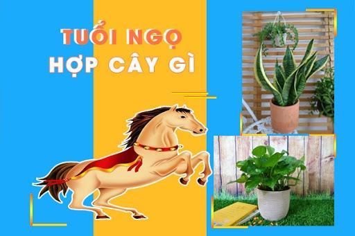 Giá trị nào được liên kết với 2002 1