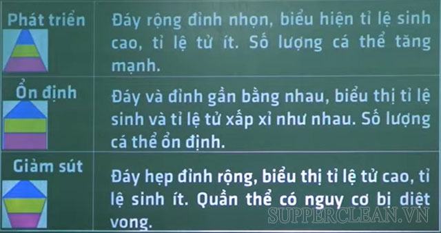 Con người là gì?