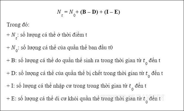 Con người là gì?