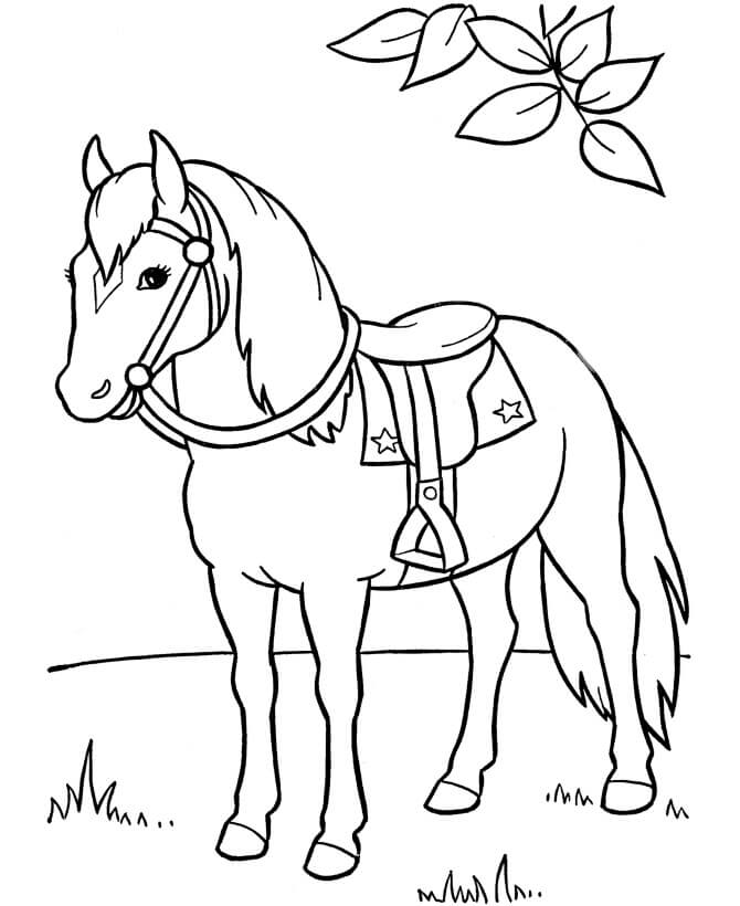 vẽ một con ngựa 27
