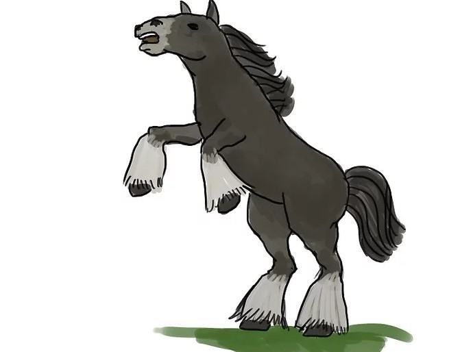 vẽ 14. một con ngựa