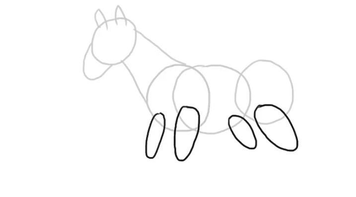 vẽ 17. một con ngựa