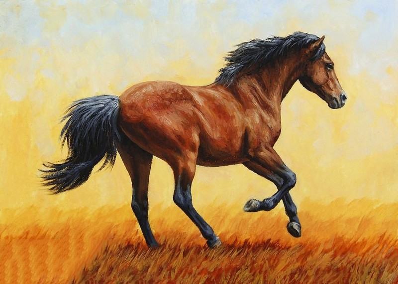 vẽ 30 ​​con ngựa