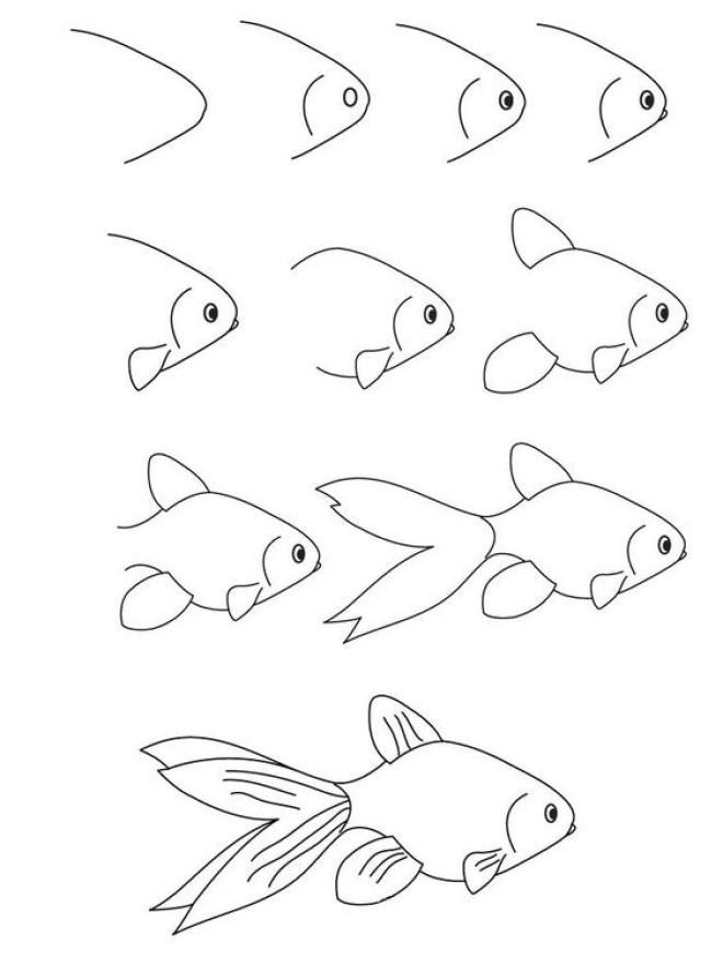 vẽ 14 con cá