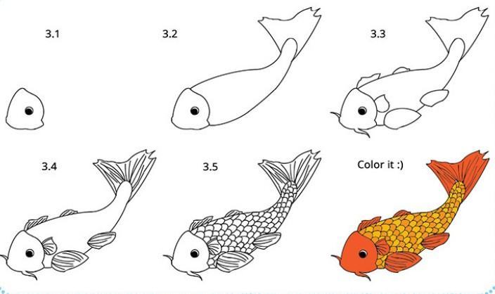 vẽ 15 con cá