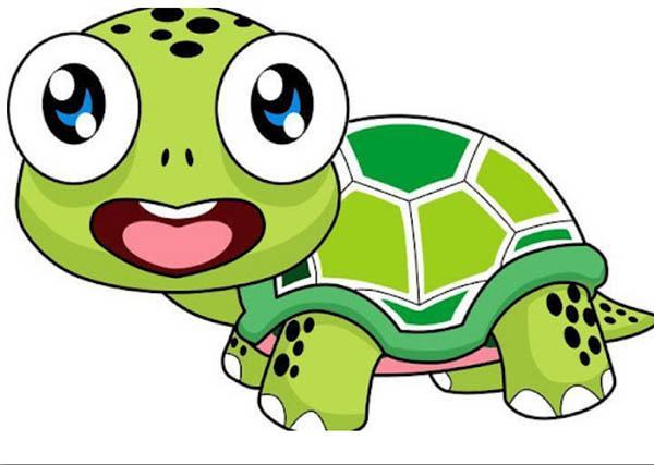 Vẽ Con Rùa  Bé Vẽ Con Rùa  How To Draw Turtle For Kids  Drawing For Kids   YouTube