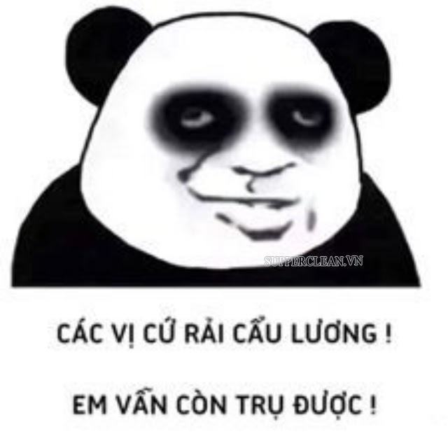 cau-luong-meme