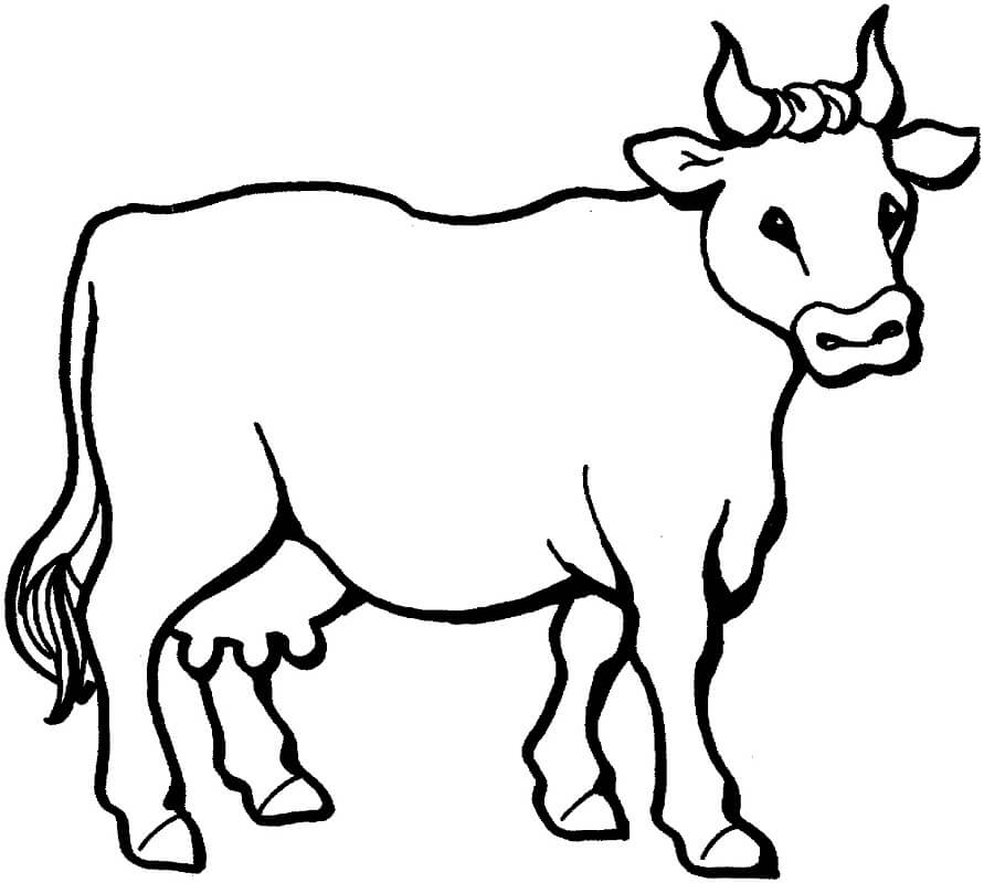 vẽ 17 con bò