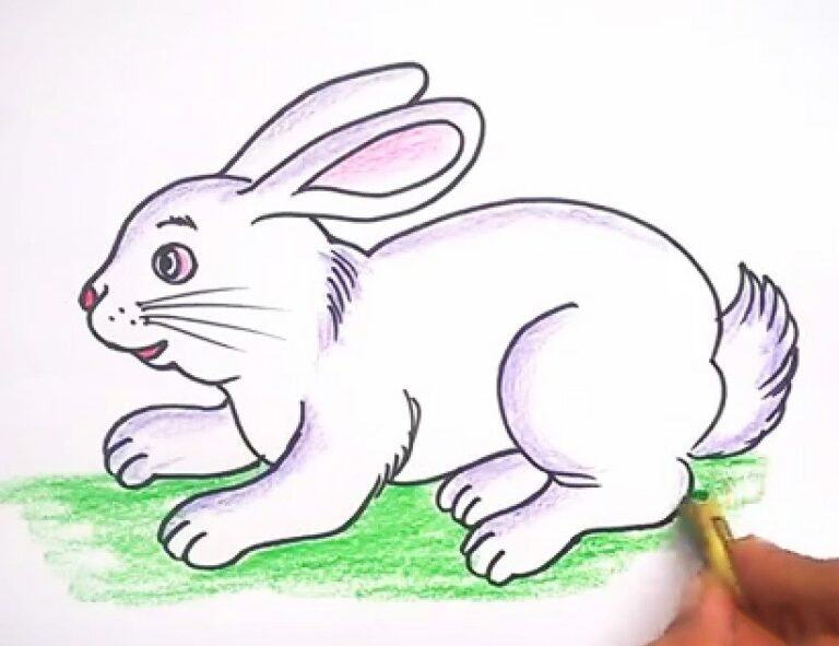 Cách vẽ con thỏ đơn giản cute đẹp nhất dễ thương cho bé
