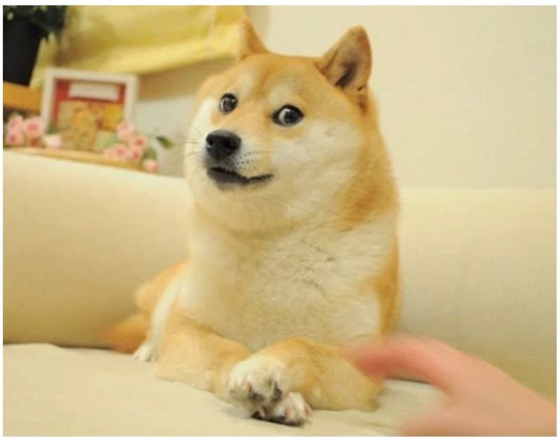 Hình ảnh meme chó Shiba Inu
