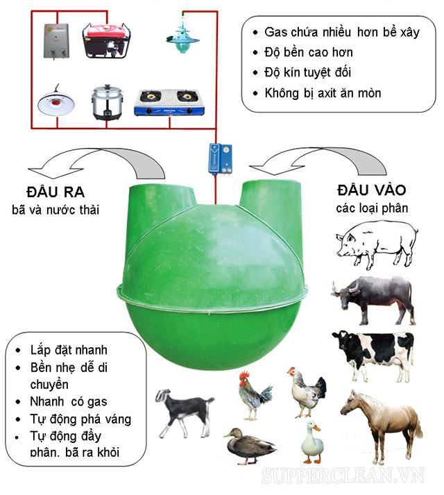 Dầu là gì?