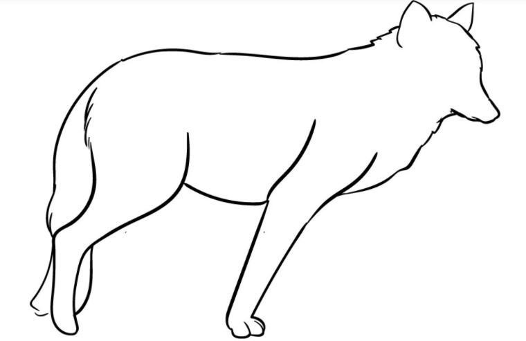 Trang tô màu của một con sói theo phong cách hoạt hình