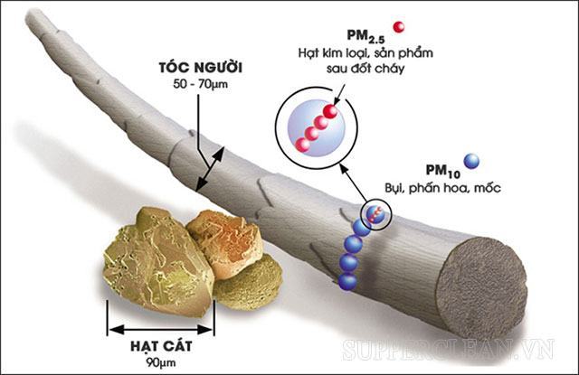 hạt vật chất