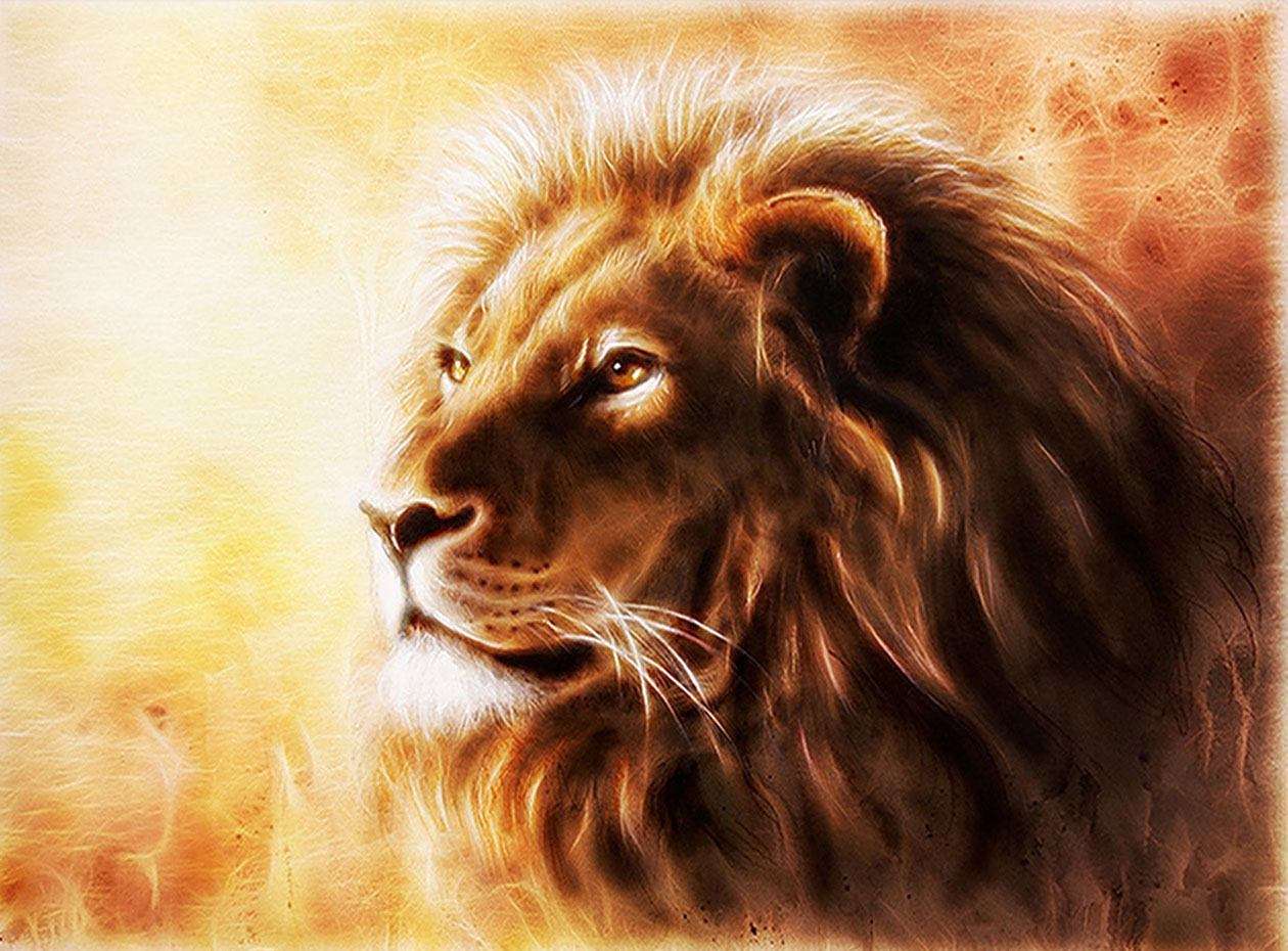 vẽ 25 con sư tử