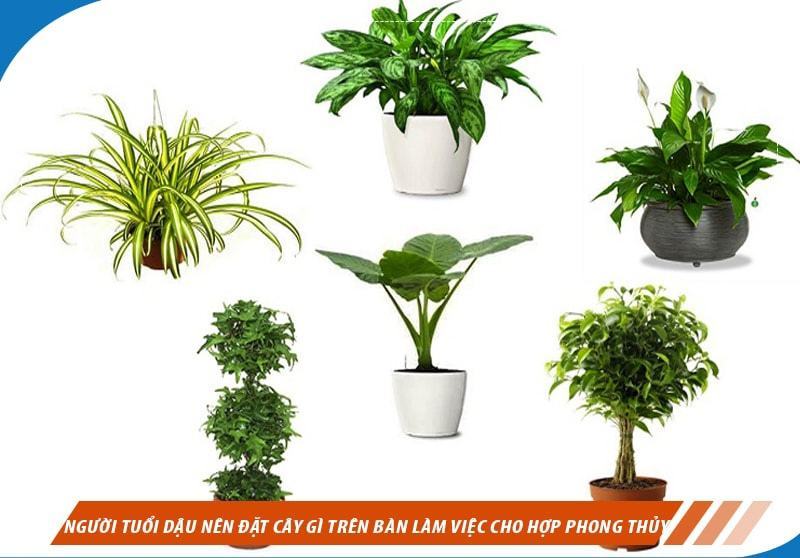 Giá trị nào được liên kết với 2005 1